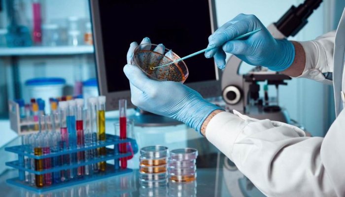 Which Main Instruments Will You Find in A Microbiology Laboratory?