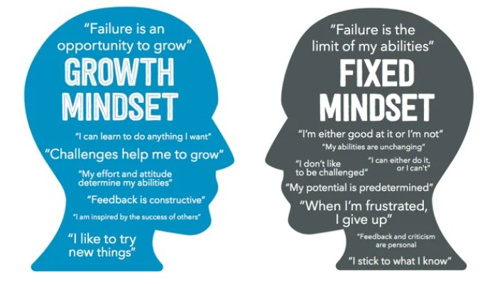 Fixed vs Growth Mindset – Which is Better for Team Leaders?