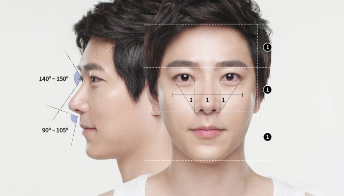 An Asian Nose And Its Aesthetic Concerns