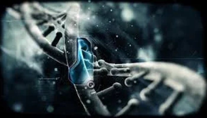 Entrepreneurial DNA: do you have it? The 29 skills, capabilities and practices you need