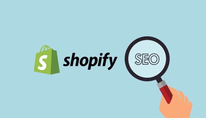 How a Shopify SEO Expert Can Help You Get More Traffic