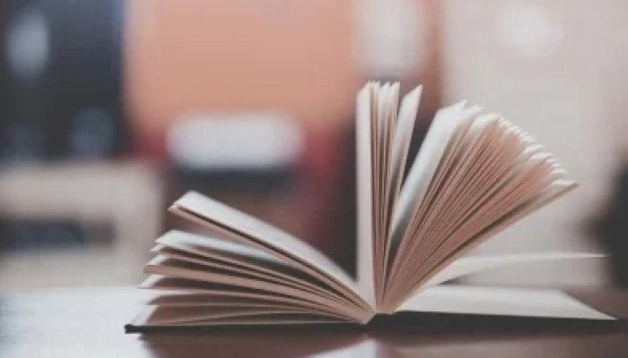 Книга продаж не должна жить в PDF: как встроить правила в работу менеджера