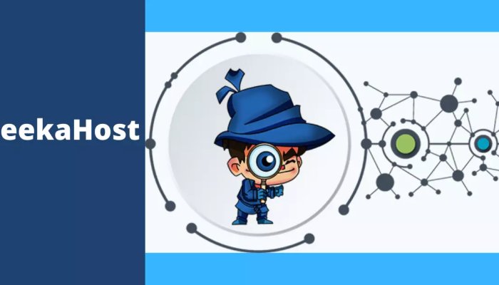 How Does the SeekaHost Panel Compare with Other Established Panels?