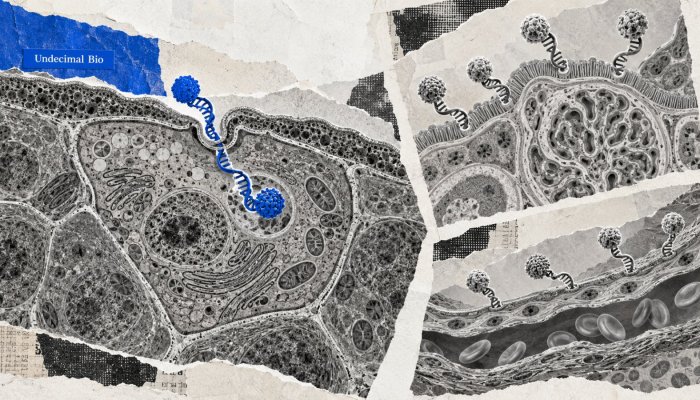 Undecimal Bio $18 саяар RNA-г элэгнээс өөр эдэд хүргэхээр бооцоо тавив