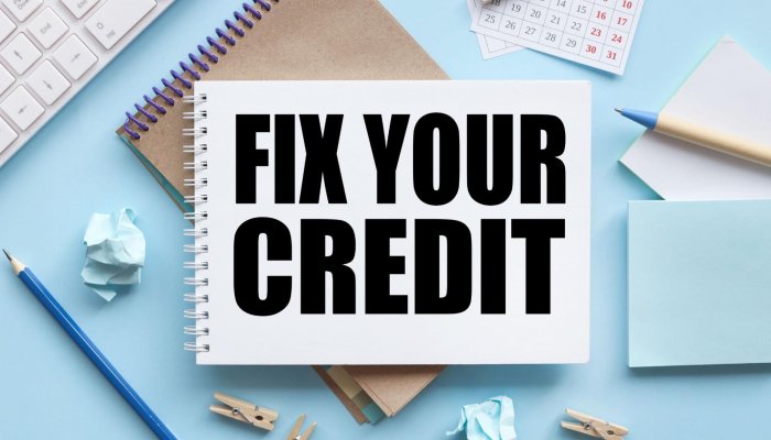 Credit Repair Companies: How Do They Work?