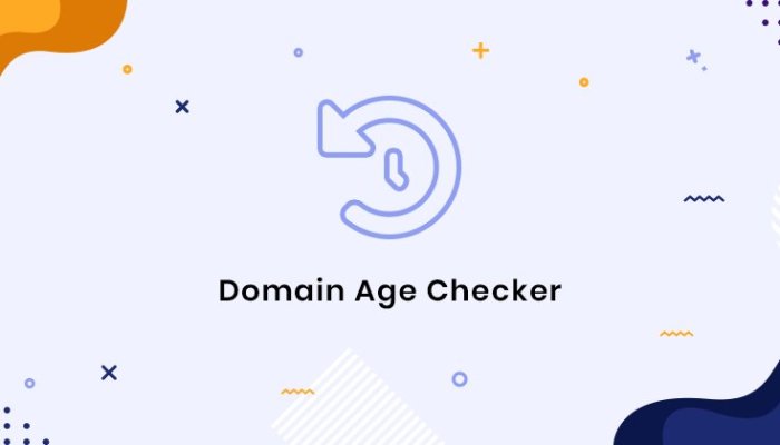 How Domain Age Checker Establishes Your Website’s Authority Online