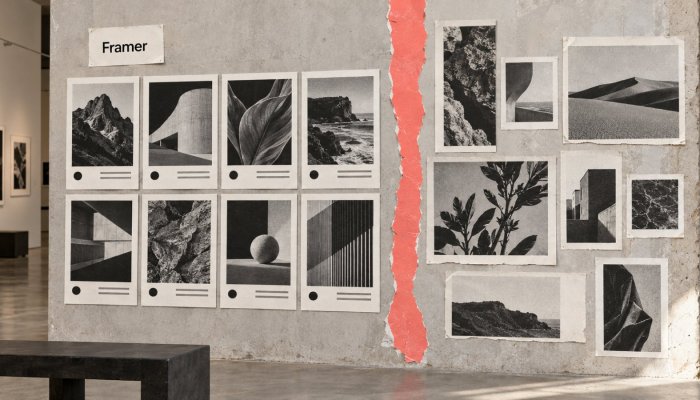 Webflow ali Framer: cenejši začetek skriva različne meje CMS