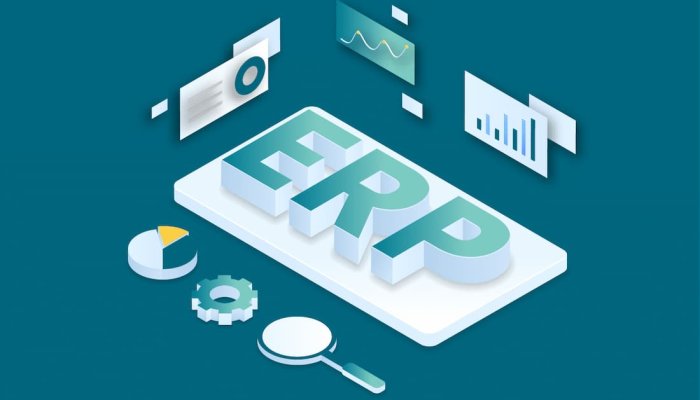 Why ERP Systems are Essential for Success of Your Business