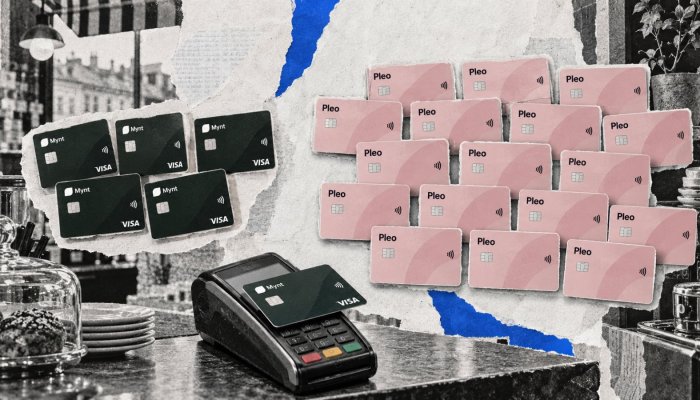 Pleo eller Mynt: fem användare gör gratisplanen avgörande