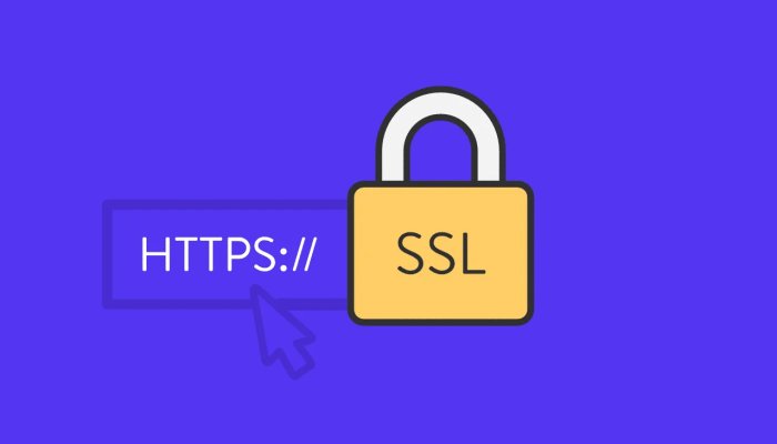 Как установить SSL-сертификат с HTTPS соединением на свой сайт