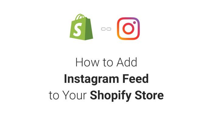 How To Embed Instagram Feed To Your Shopify Store: Know Its Benefits & Process