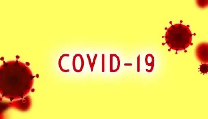 Пандемия Covid-19 разрушила рынок труда. Фрилансер рулит.
