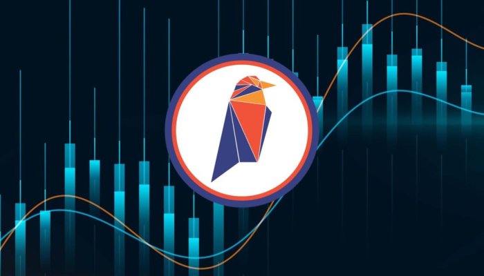 Everything You Need to Know about RVN to CAD Exchange
