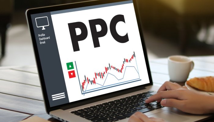 PPC Stats That Every Business Needs to Know In 2024