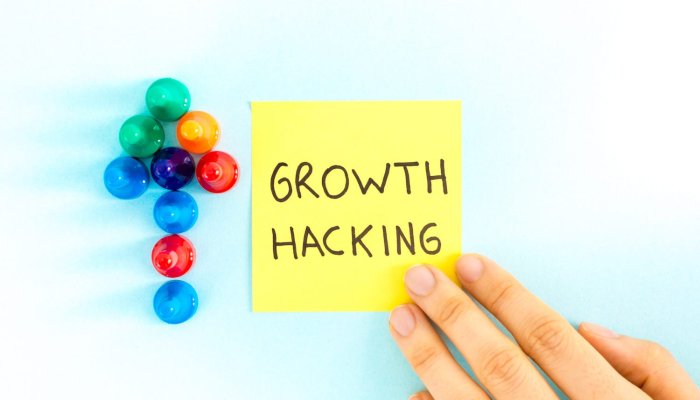33 Best Growth Hacking Examples, Ideas & Strategies to get Inspiration from