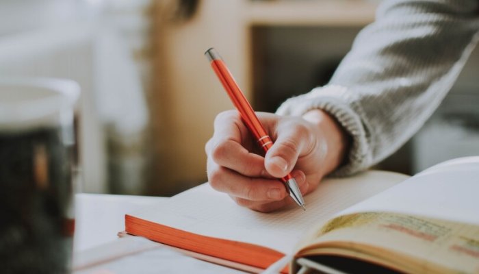 The Role of Essays in Fostering a Growth Mindset in Education