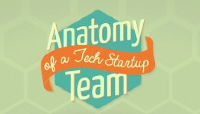Anatomy of a Tech Startup Team – by Wrike Project Management Software