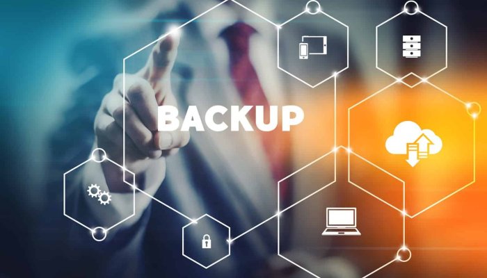 Best 5 Data Backup Cases