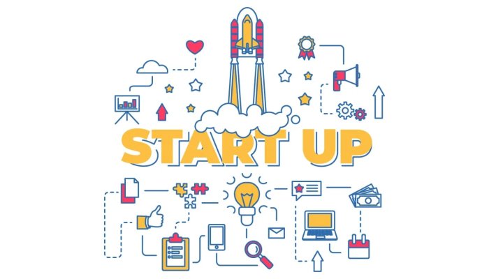 What is a Startup?
