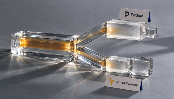 Paddle či Lemon Squeezy: rovnakých 5 % nemusí znamenať rovnaký účet