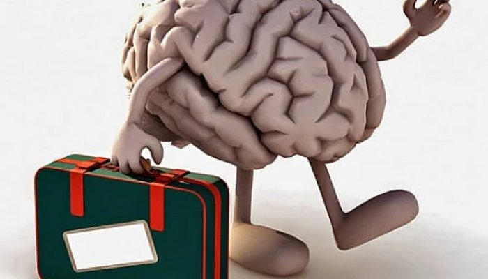 Венчурный фонд – что это такое, и как с его помощью инвестировать в развитие российской экономики