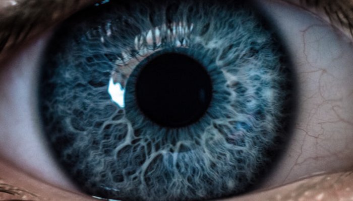 Neuralink Competitor Restores Vision in Blind Patients With Eye Implant