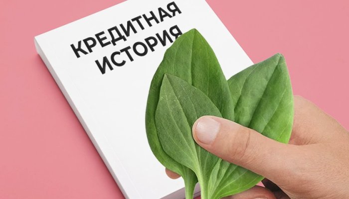 Как улучшить свою кредитную историю: обзор доступных способов изменить финансовую репутацию