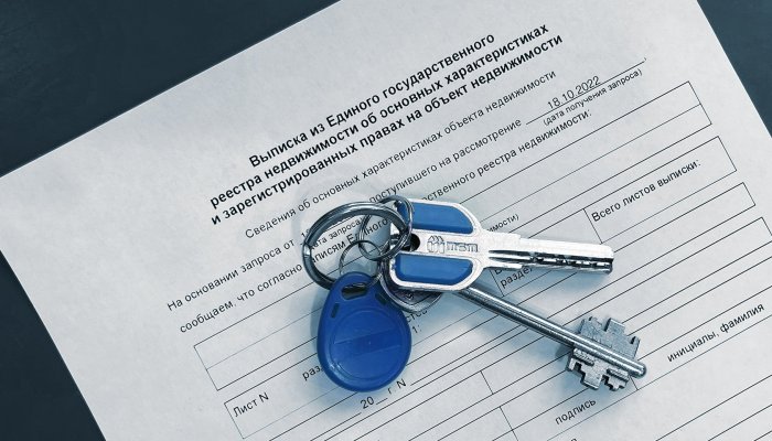 Как получить выписку из ЕГРН