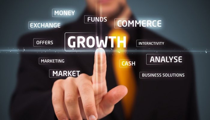 How to Growth Your Online Business the Right Way