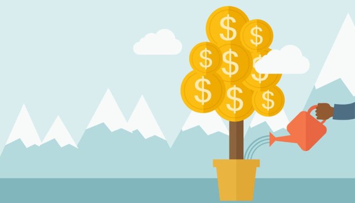 Реинвестирование – что это значит и как работает на повышение доходности капитала