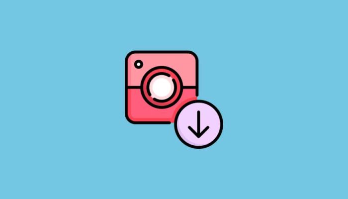 Imginn: The Ultimate Instagram Viewer & Downloader