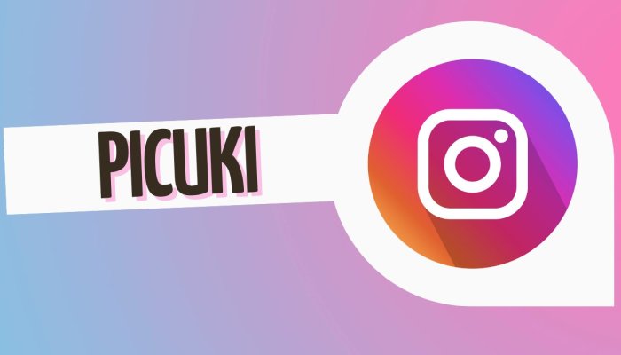 Picuki Best Anonymous Instagram Viewer and Editor