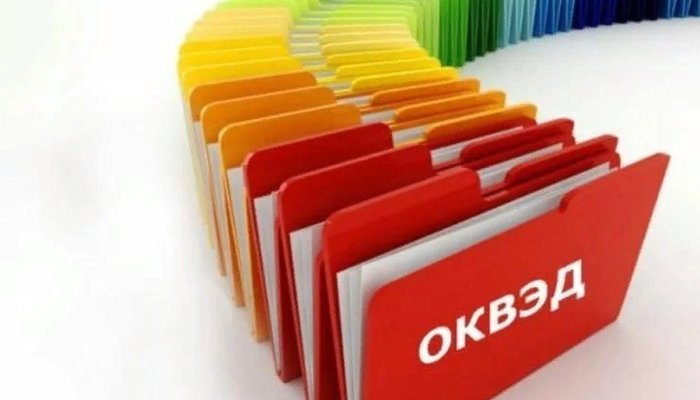 Какой код ОКВЭД выбрать для регистрации бизнеса