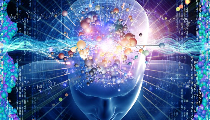 Мы становимся все глупее, но никто не может объяснить почему
