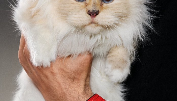 Choupette, Karl Lagerfeld’s 13-Year-Old Cat, Stars in Hublot’s Big Bang Campaign: Living the Ultimate Luxury Life