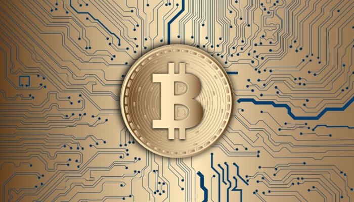Most Popular Blockchains in Use by Different Industries