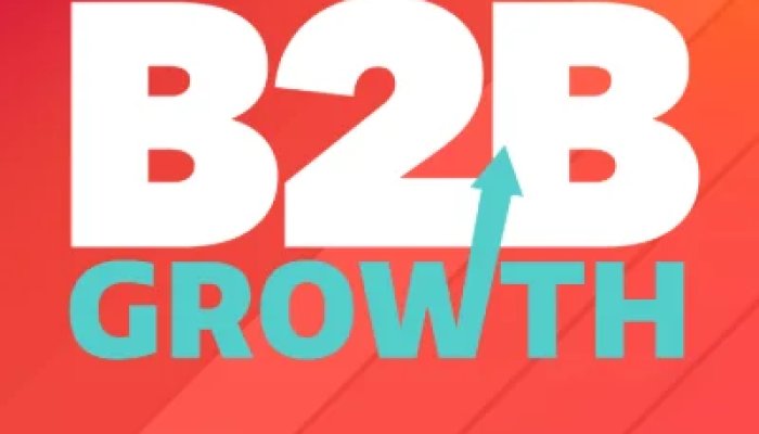 B2B Growth Hacking: Ways To Improve Your Online Sales Performance
