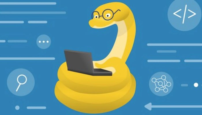 7 преимуществ изучения языка python для веб-разработки