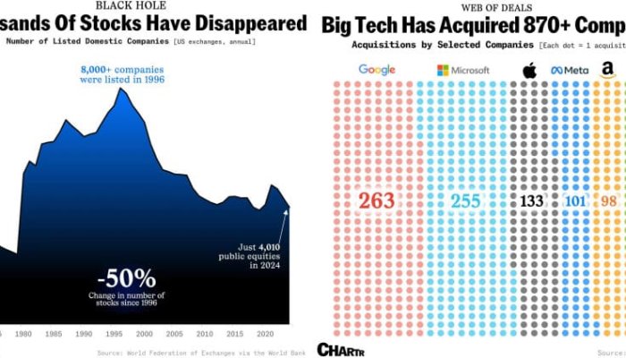 US Public Markets Shrink Dramatically: From 8,000 Companies in 1996 to Just 4,000 Today – And Big Tech Is Eating the Competition Alive