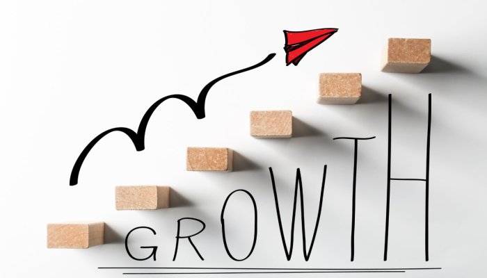 Tips on Choosing the Right SEO Agency for Your Business Growth