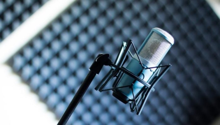 Want To Do A Professional Voice Over?