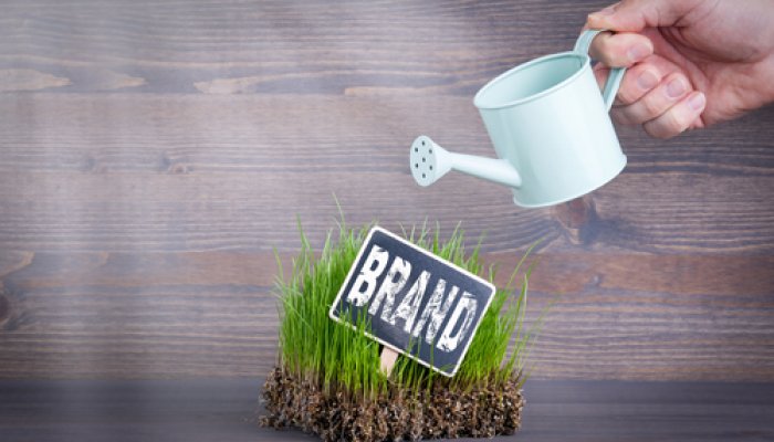 The Difference Between Growing a Business and Growing a Brand