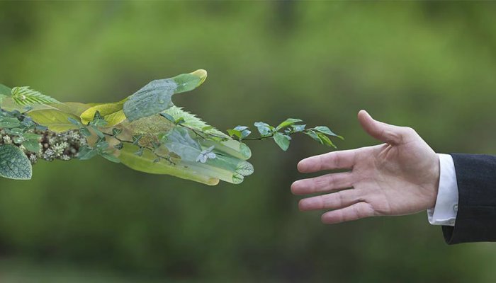How to Incorporate Sustainability as a Business