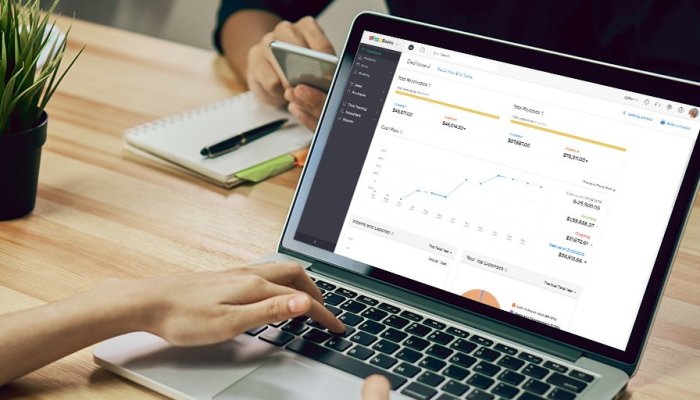 What is Accounting Software for Small Businesses?