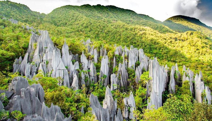 Beyond the City Limits: Exploring Miri’s Surrounding National Parks