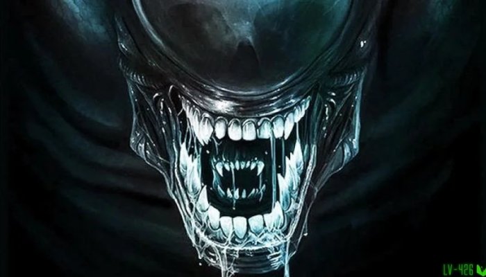 4 новых БИЗНЕС ИДЕИ. Бизнес будущего, которого нет в России