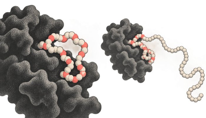 SynthID Bio znakuje białka z AI, ale podpis można osłabić