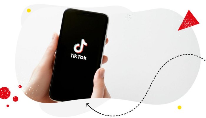 Methods on How to Remove TikTok Watermark