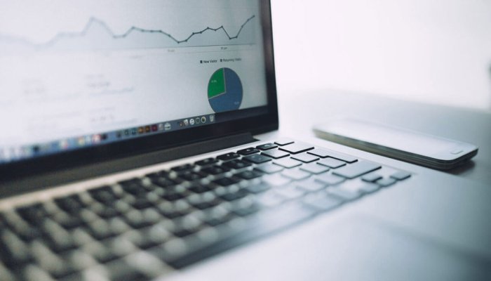 What is Traffico Anomalo Google and How Detect Anomalies in Your Google Analytics