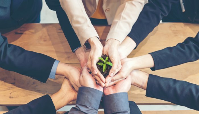 Tips for Implementing Sustainable Strategies in Your Business